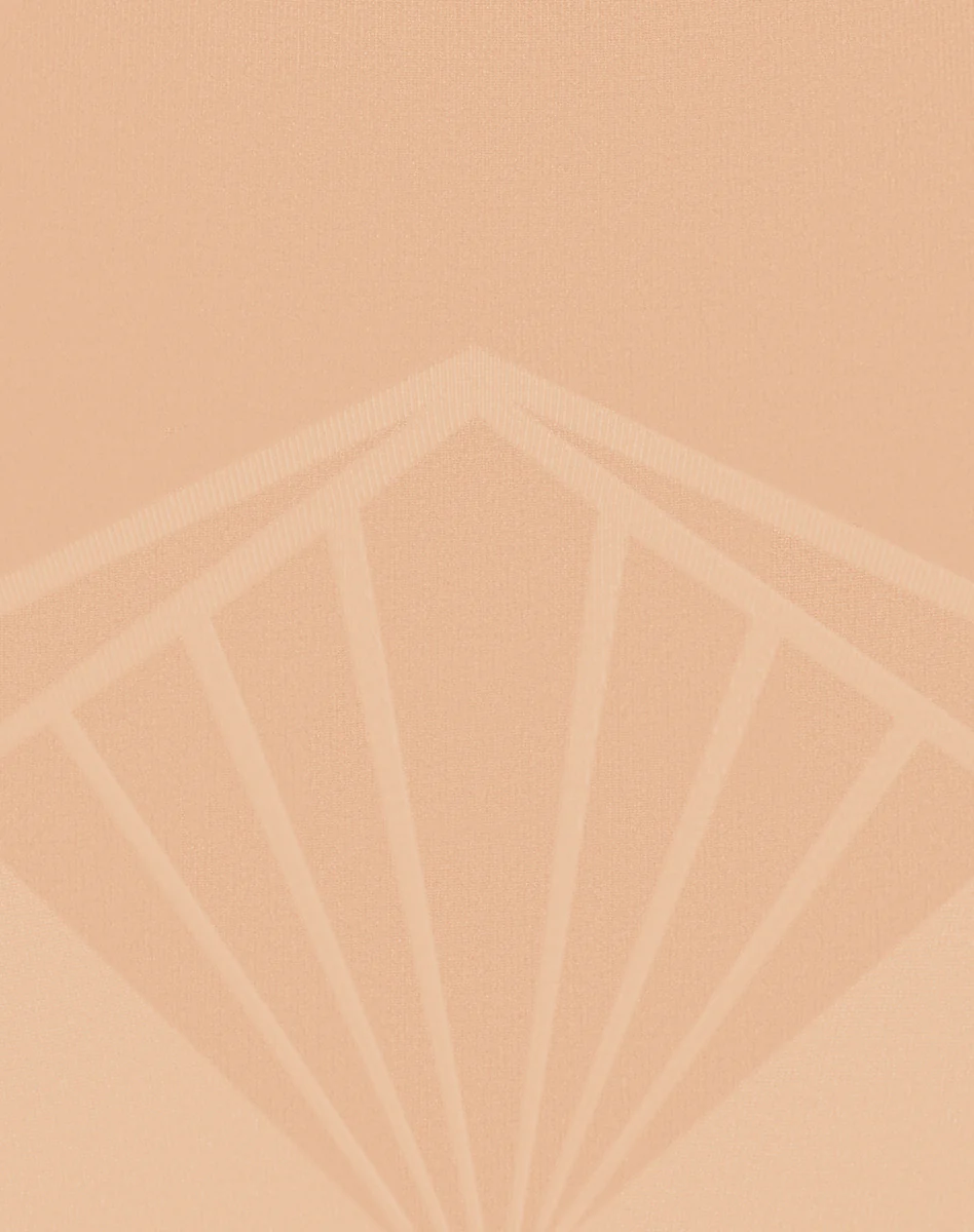 ShadowSculpt High-Waist Brief - Image 5