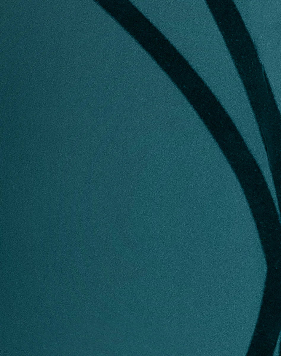 Silhouette Brief - Image 35